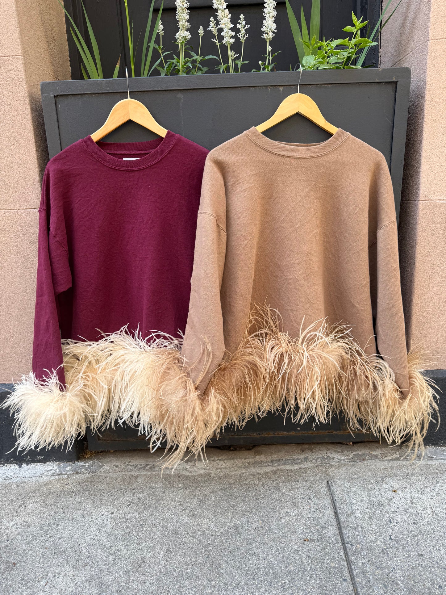 Coco- Burgundy & Champagne